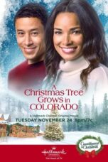 A Christmas Tree Grows in Colorado (2020)