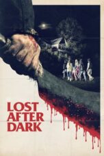 Lost After Dark (2014)