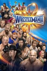 WWE WrestleMania 33 (2017)