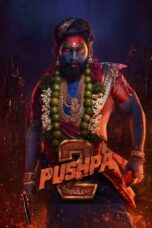 Pushpa 2 - The Rule (2024)
